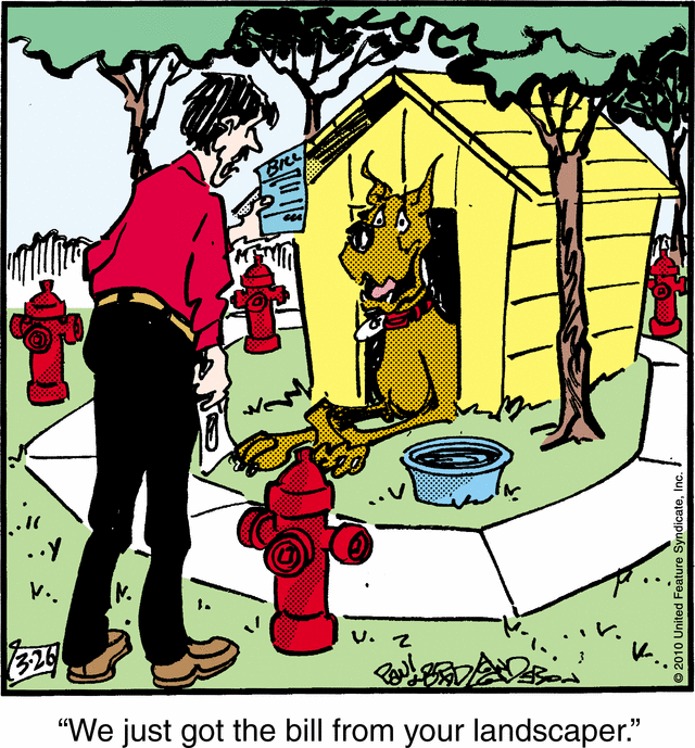 marmaduke